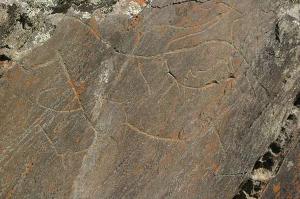 Proto-urban Site of Sarazm 